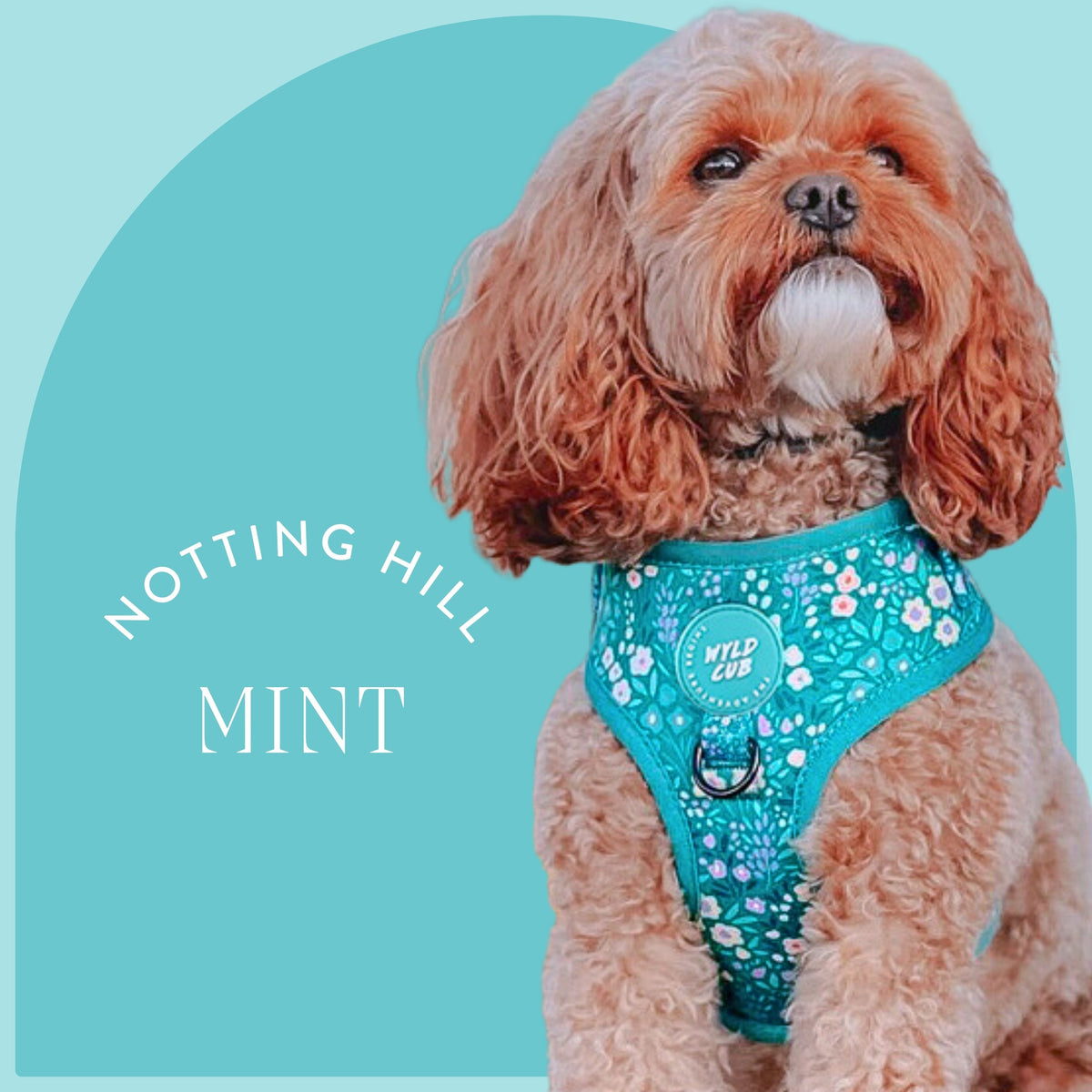 Mint dog harness best sale