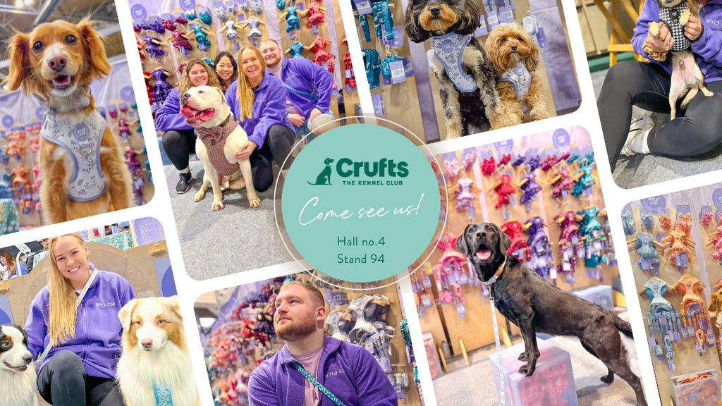 Top Tips for Attending Crufts 2025 – Everything You Need to Know