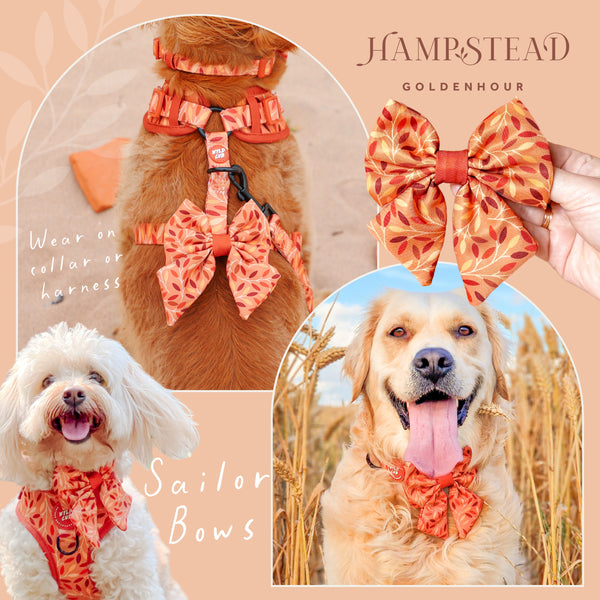 Dog Sailor Bow Tie: Hampstead Golden Hour