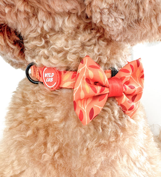 Dog Bow Tie: Hampstead Golden Hour