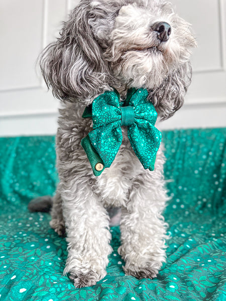 Dog Butterfly Bow Tie: Notting Hill Gooseberry