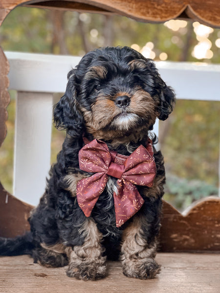 Dog Sailor Bow Tie: Chiswick Chestnut