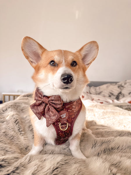 Dog Sailor Bow Tie: Chiswick Chestnut