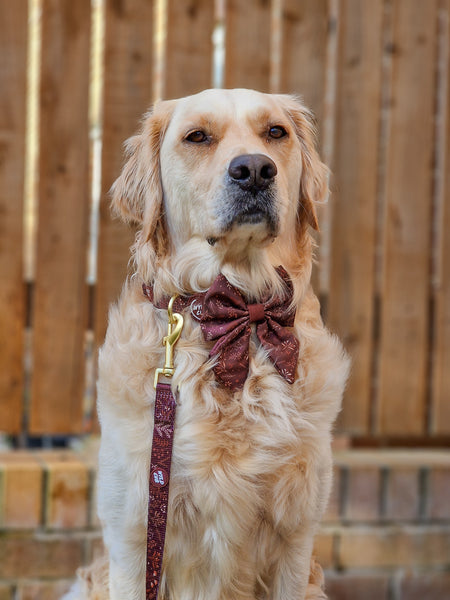 Dog Sailor Bow Tie: Chiswick Chestnut