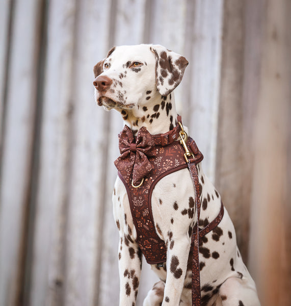 Dog Sailor Bow Tie: Chiswick Chestnut