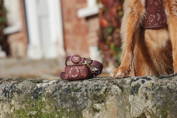 Dog Poop Bag Holder: Chiswick Chestnut