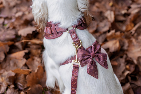 Dog Lead: Chiswick Chestnut