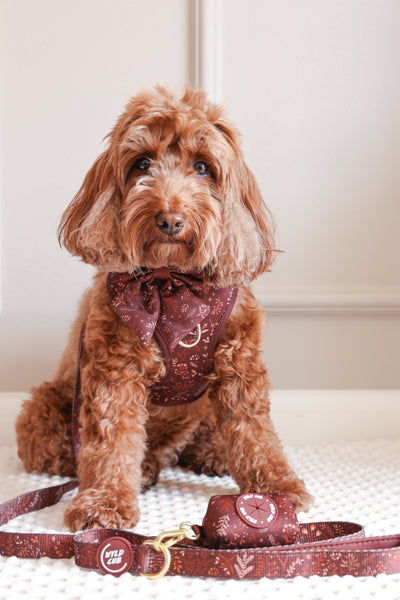 Dog Sailor Bow Tie: Chiswick Chestnut