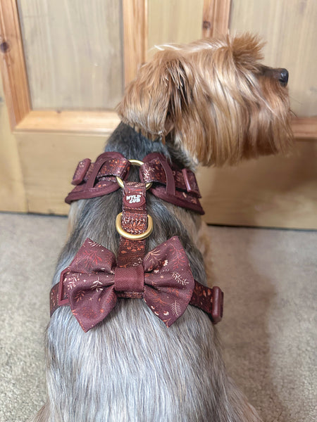 Dog Bow Tie: Chiswick Chestnut