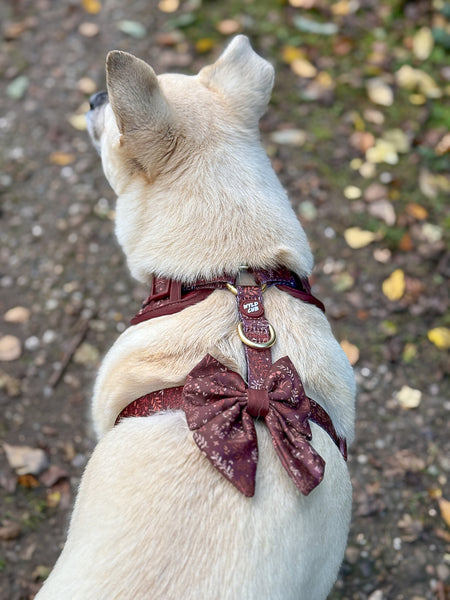 Dog Sailor Bow Tie: Chiswick Chestnut