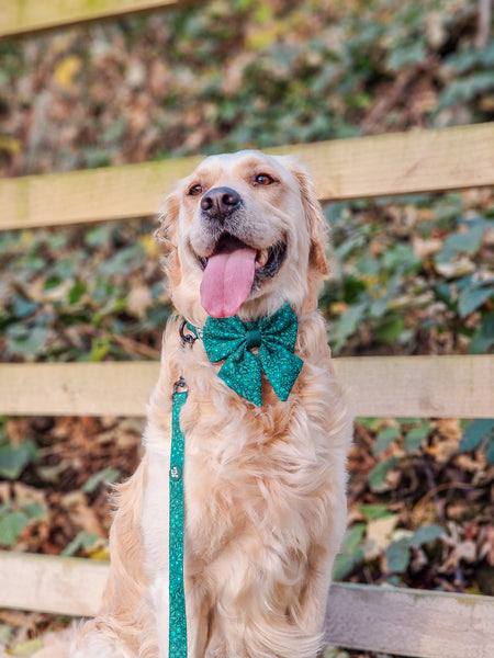 Dog Sailor Bow Tie: Notting Hill Gooseberry