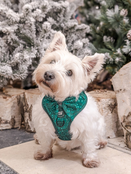 Dog Sailor Bow Tie: Notting Hill Gooseberry