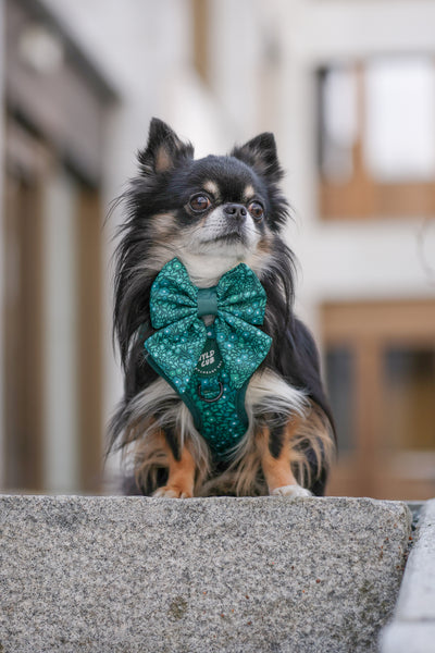 Dog Sailor Bow Tie: Notting Hill Gooseberry