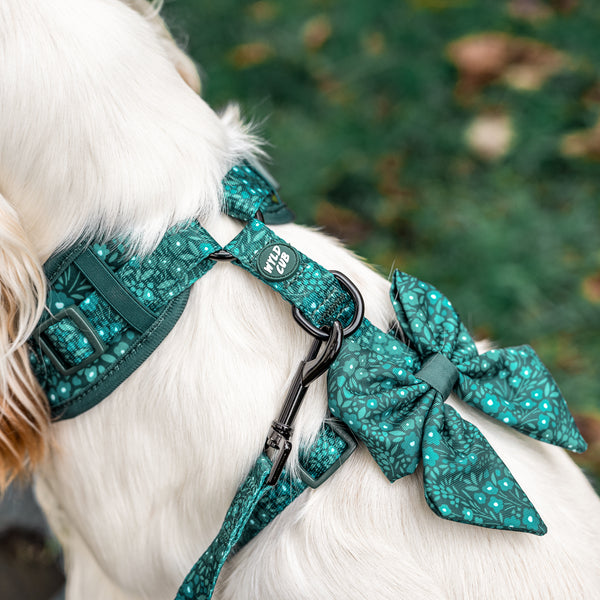 Dog Sailor Bow Tie: Notting Hill Gooseberry