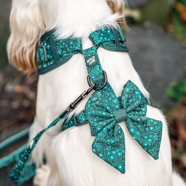 Dog Sailor Bow Tie: Notting Hill Gooseberry