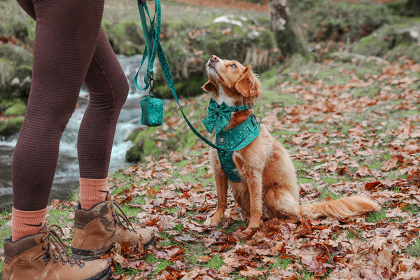 Dog Poop Bag Holder: Notting Hill Gooseberry