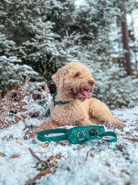 Adjustable Dog Collar: Notting Hill Gooseberry