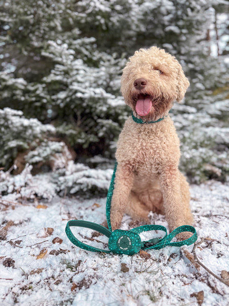 Adjustable Dog Collar: Notting Hill Gooseberry