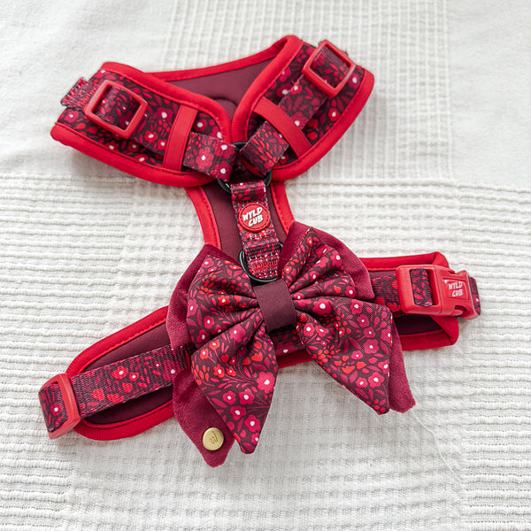 Dog Butterfly Bow Tie: Notting Hill Mulberry