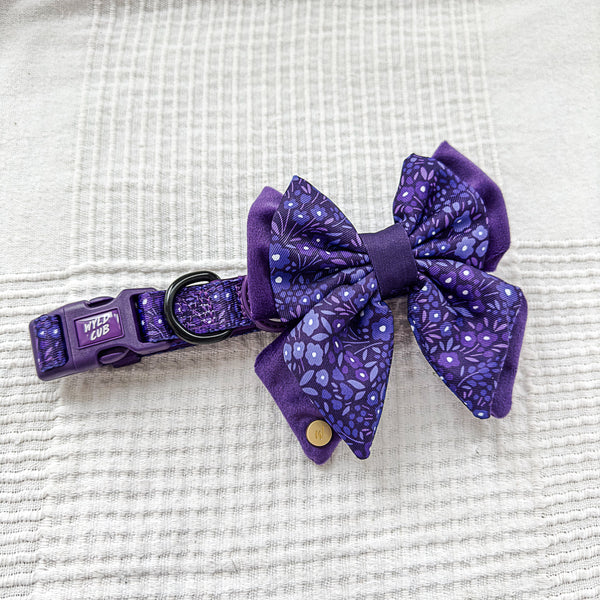 Dog Butterfly Bow Tie: Notting Hill Blackberry