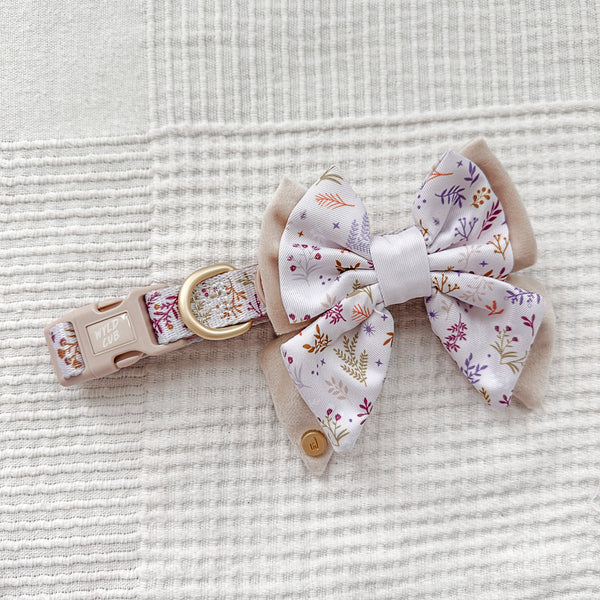 Dog Butterfly Bow Tie: Chiswick Oyster