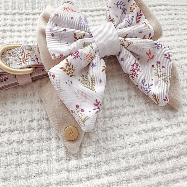 Dog Butterfly Bow Tie: Chiswick Oyster