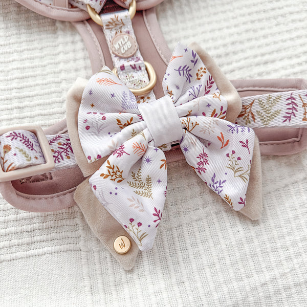 Dog Butterfly Bow Tie: Chiswick Oyster