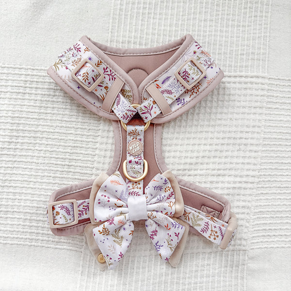 Dog Butterfly Bow Tie: Chiswick Oyster