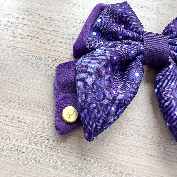 Dog Butterfly Bow Tie: Notting Hill Blackberry