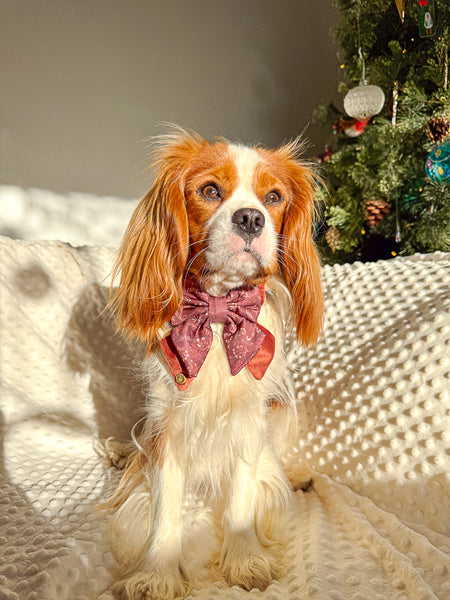 Dog Butterfly Bow Tie: Chiswick Chestnut