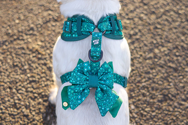 Dog Butterfly Bow Tie: Notting Hill Gooseberry