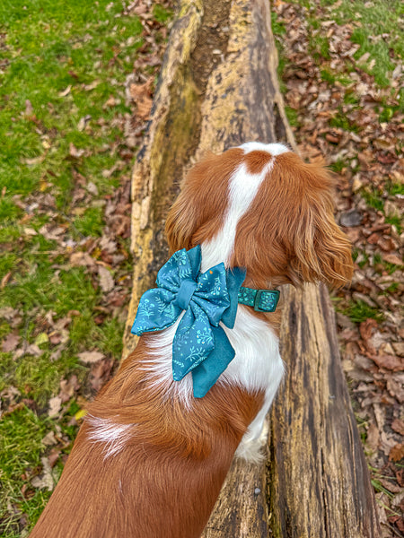 Dog Butterfly Bow Tie: Chiswick Alpine