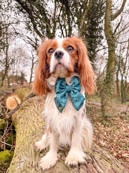 Dog Butterfly Bow Tie: Chiswick Alpine