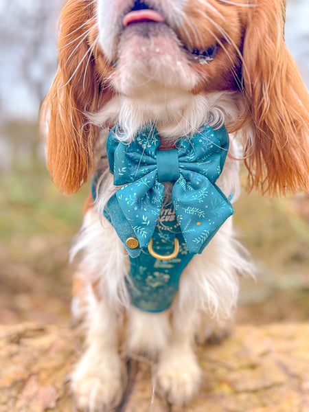 Dog Butterfly Bow Tie: Chiswick Alpine