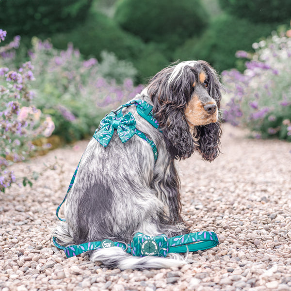 Dog Sailor Bow Tie: Hampstead Evergreen