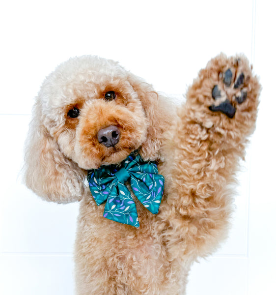 Dog Sailor Bow Tie: Hampstead Evergreen