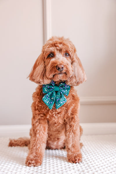 Dog Sailor Bow Tie: Hampstead Evergreen