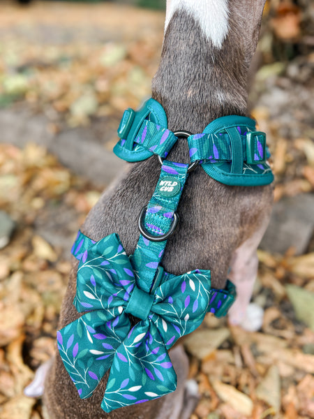 Dog Sailor Bow Tie: Hampstead Evergreen