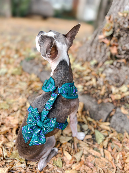 Dog Sailor Bow Tie: Hampstead Evergreen