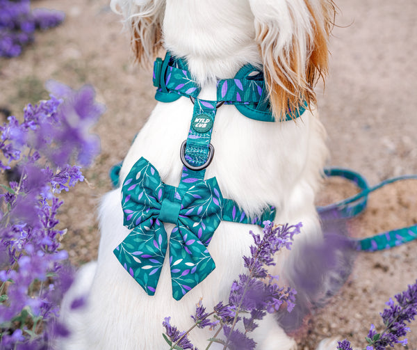 Dog Sailor Bow Tie: Hampstead Evergreen