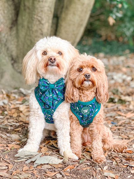 Adjustable Dog Harness: Hampstead Evergreen