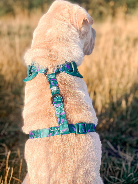 Adjustable Dog Harness: Hampstead Evergreen