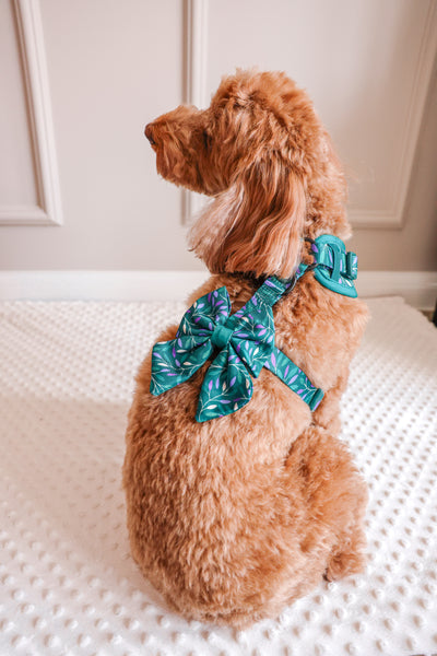 Dog Sailor Bow Tie: Hampstead Evergreen