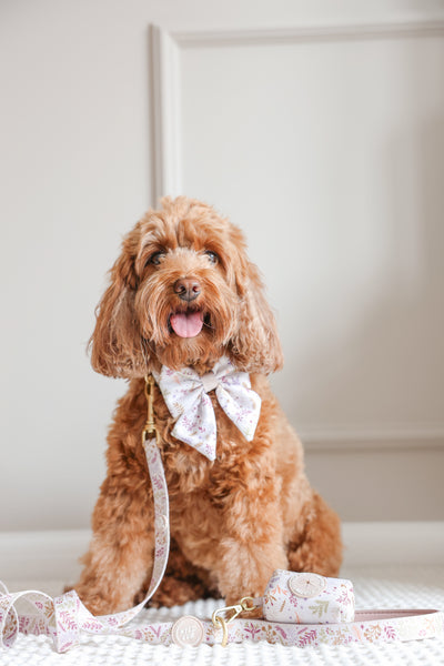 Dog Sailor Bow Tie: Chiswick Oyster